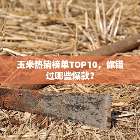 玉米热销榜单TOP10，你错过哪些爆款？
