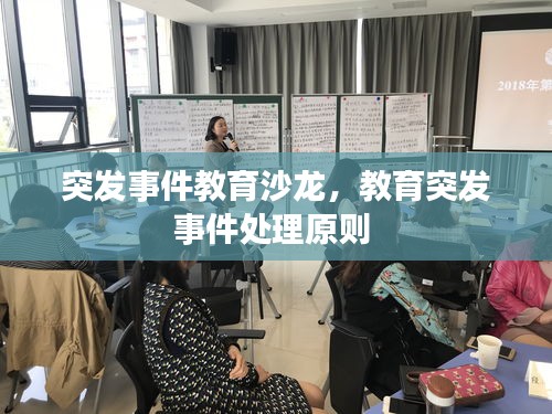 突发事件教育沙龙，教育突发事件处理原则 