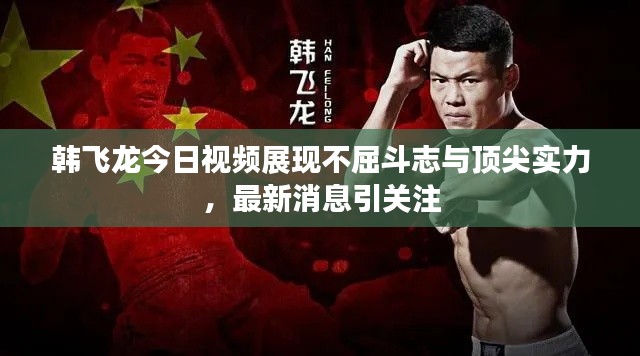 韩飞龙今日视频展现不屈斗志与顶尖实力，最新消息引关注