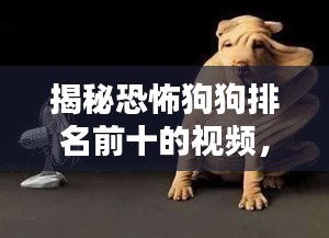 揭秘恐怖狗狗排名前十的视频，惊悚瞬间一网打尽！