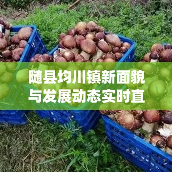 新闻中心 第4页