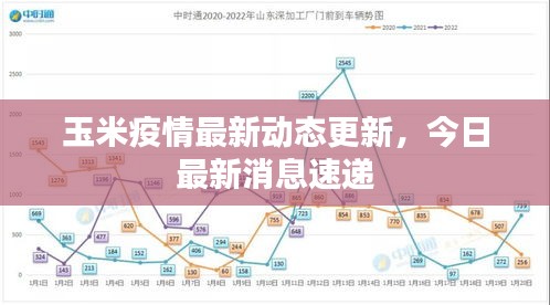 玉米疫情最新动态更新，今日最新消息速递