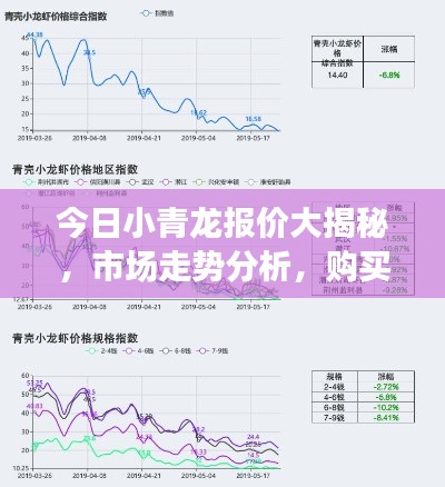 今日小青龙报价大揭秘，市场走势分析，购买指南助你明智决策