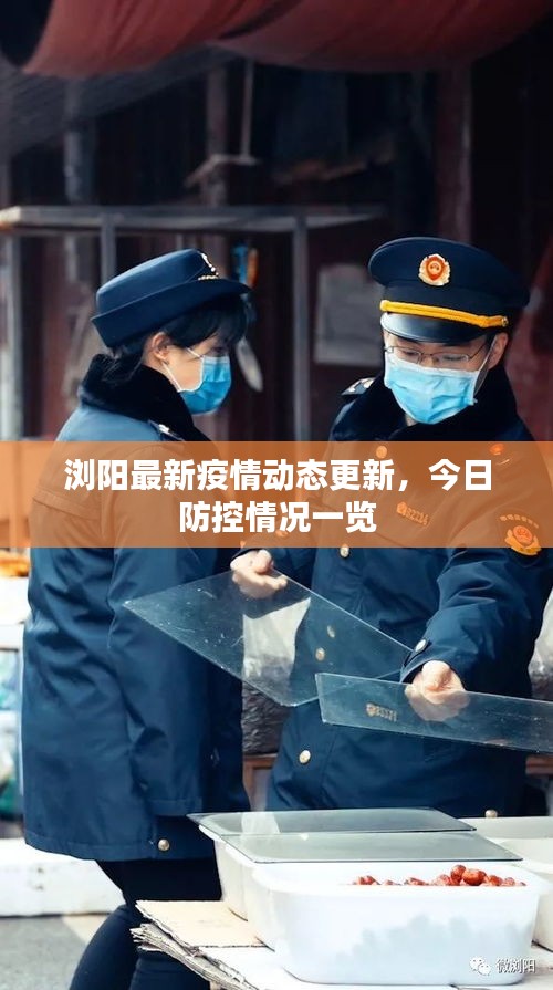 浏阳最新疫情动态更新，今日防控情况一览