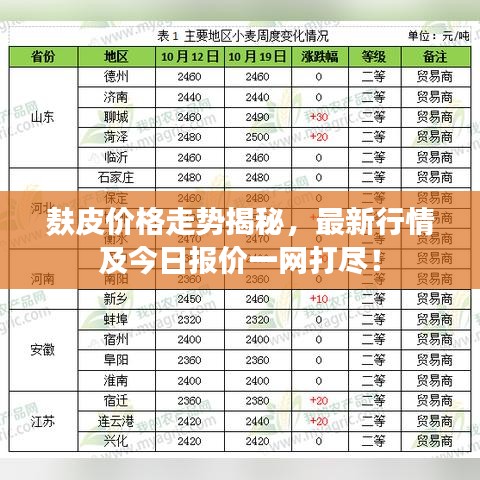 麸皮价格走势揭秘，最新行情及今日报价一网打尽！