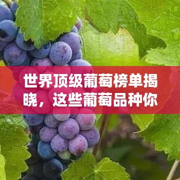 新闻中心 第3页
