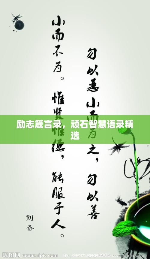 励志箴言录，顽石智慧语录精选