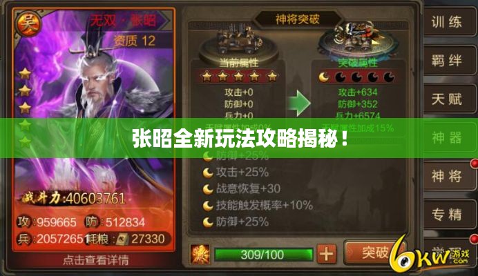 张昭全新玩法攻略揭秘！