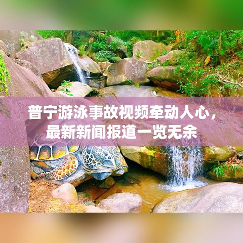 普宁游泳事故视频牵动人心，最新新闻报道一览无余