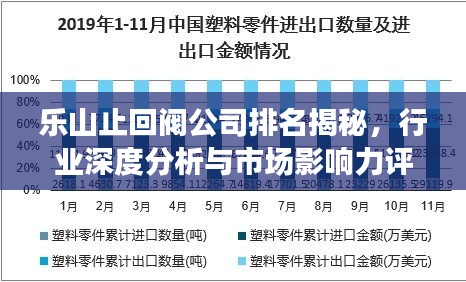 乐山止回阀公司排名揭秘，行业深度分析与市场影响力评估