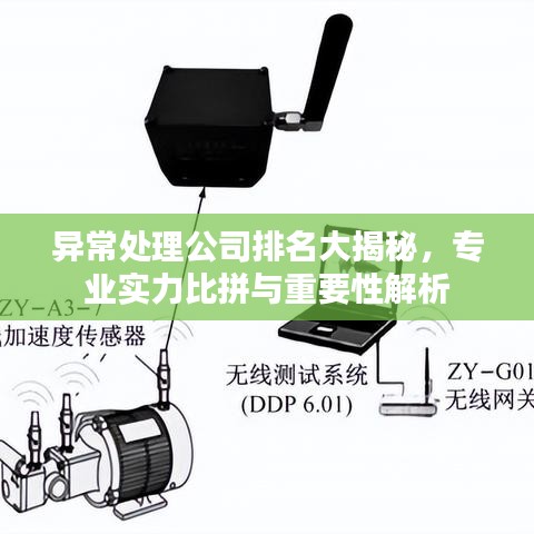 异常处理公司排名大揭秘，专业实力比拼与重要性解析