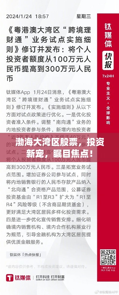 渤海大湾区股票，投资新宠，瞩目焦点！