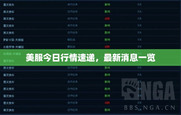 美服今日行情速递，最新消息一览