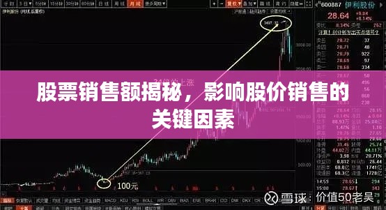 股票销售额揭秘，影响股价销售的关键因素