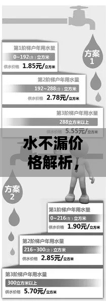 水不漏价格解析，如何了解成本与选择最优方案