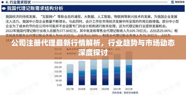 公司注册代理最新行情解析，行业趋势与市场动态深度探讨