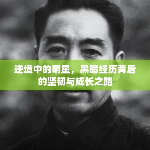 逆境中的明星，黑暗经历背后的坚韧与成长之路