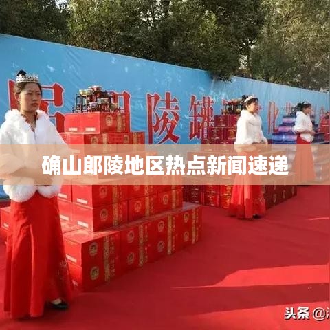 确山郎陵地区热点新闻速递