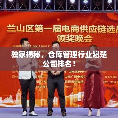 独家揭秘，仓库管理行业翘楚公司排名！