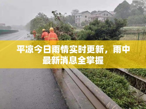 平凉今日雨情实时更新，雨中最新消息全掌握
