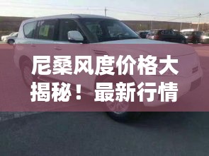 尼桑风度价格大揭秘！最新行情解析！
