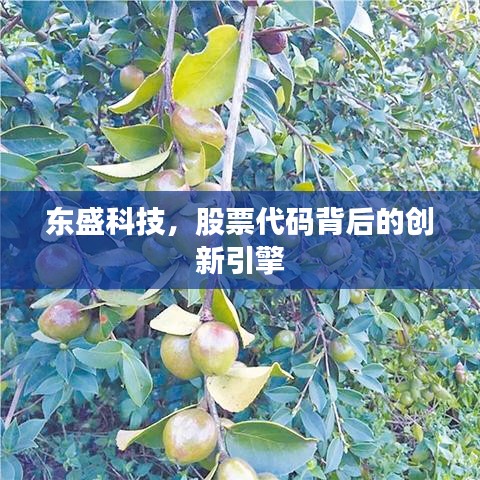 东盛科技，股票代码背后的创新引擎