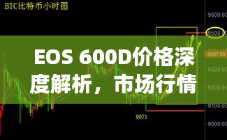 EOS 600D价格深度解析，市场行情与购买建议
