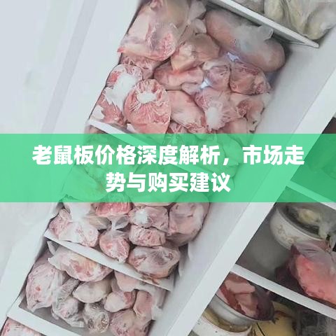 老鼠板价格深度解析，市场走势与购买建议
