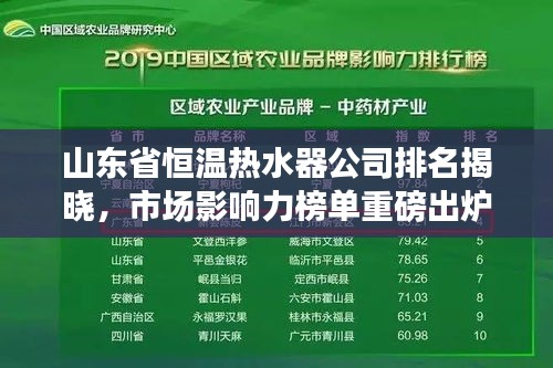 山东省恒温热水器公司排名揭晓，市场影响力榜单重磅出炉！