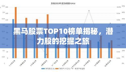 黑马股票TOP10榜单揭秘，潜力股的挖掘之旅