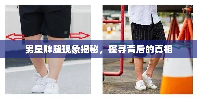 男星胖腿现象揭秘，探寻背后的真相